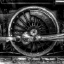 Texas Loco product identifier